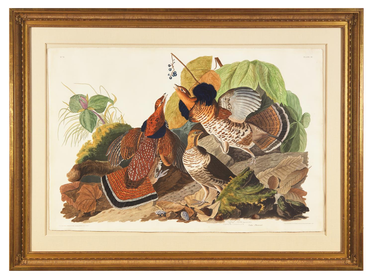 Audubon, John J(ames). Ruffed Grous