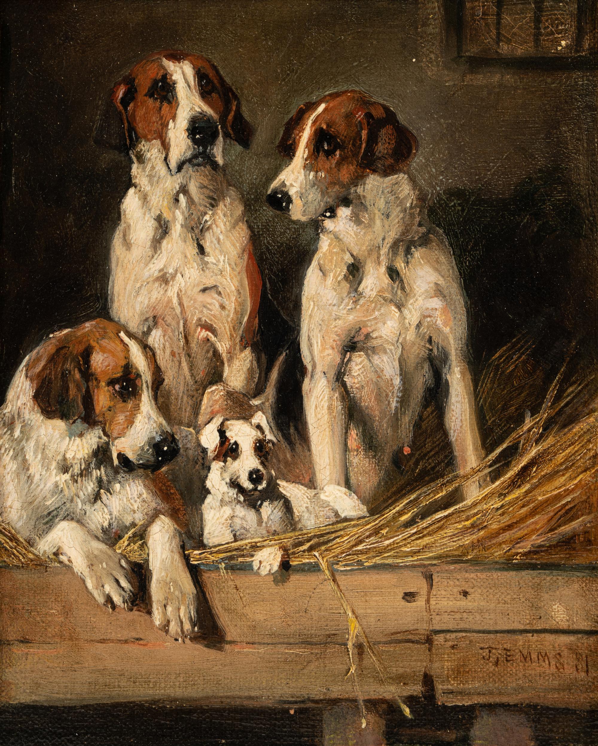 In the Kennels