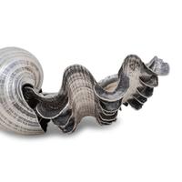 Three Buccellati Silver-Wrapped Shells