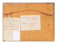Magnolia Leaves and Shell and Tiger Moth and Nettle (two works), 1971