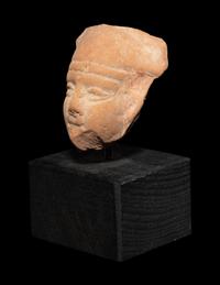 An Egyptian Terra Cotta Head of Horus