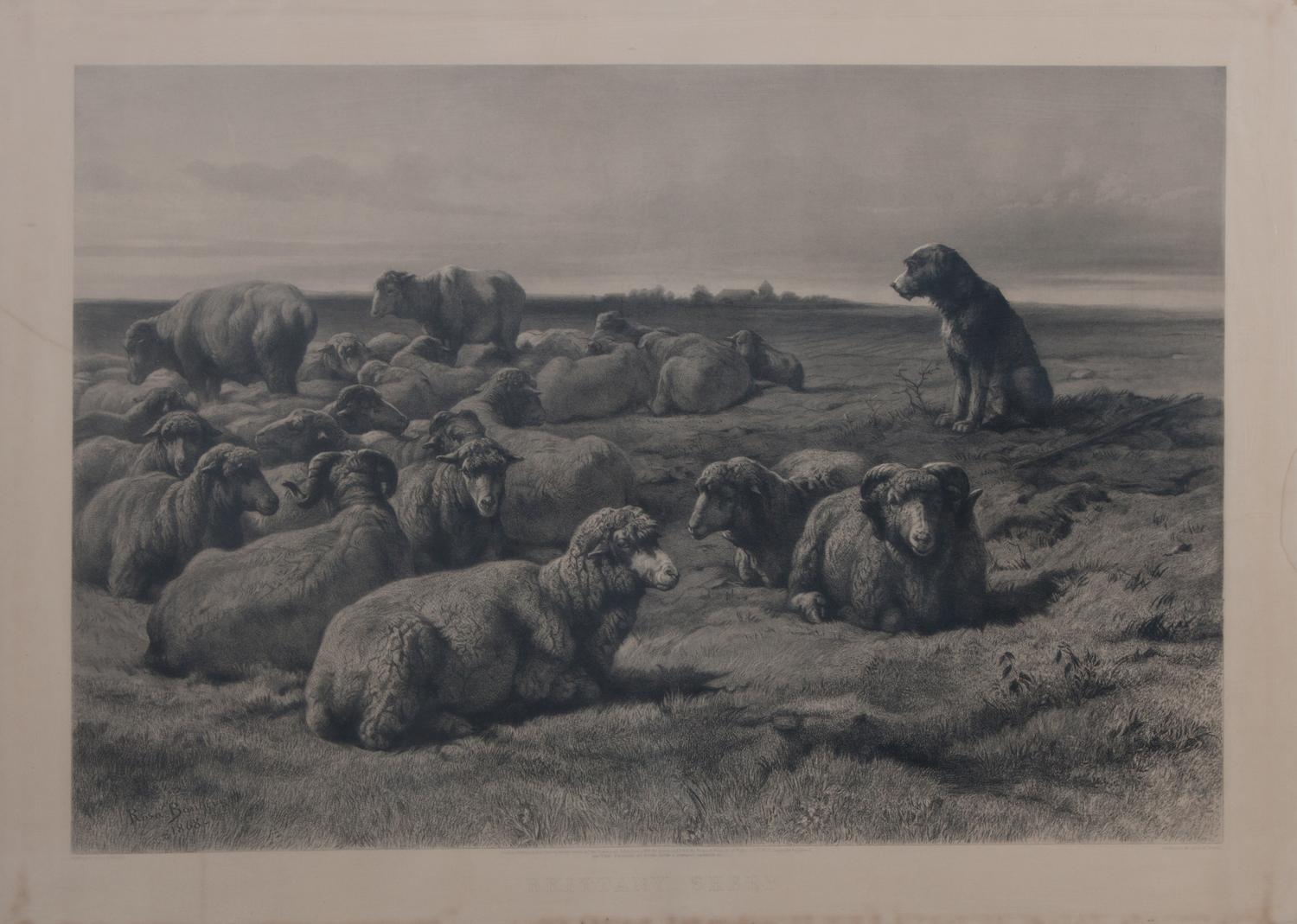 After Rosa Marie (Rosalie) Bonheur, (American, 1822-1899), Brittany Sheep