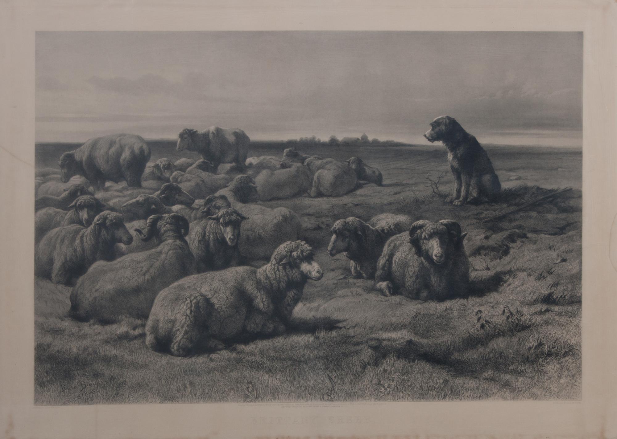 After Rosa Marie (Rosalie) Bonheur, (American, 1822-1899), Brittany Sheep