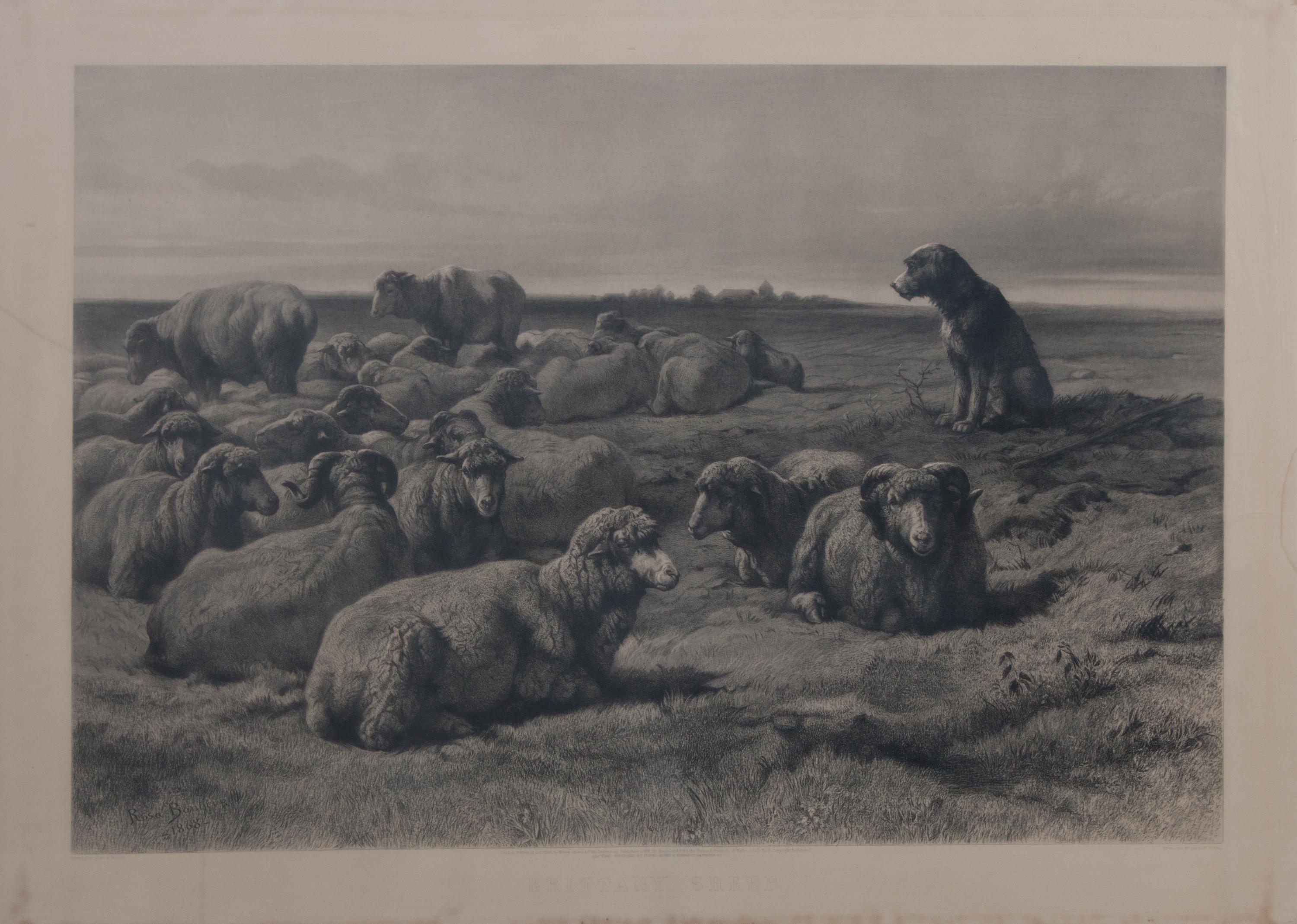 After Rosa Marie (Rosalie) Bonheur, (American, 1822-1899), Brittany Sheep