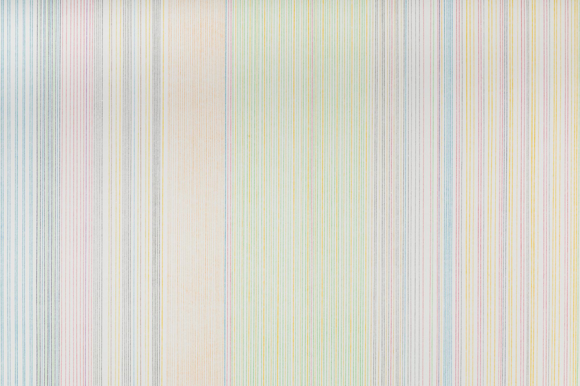 Albatross