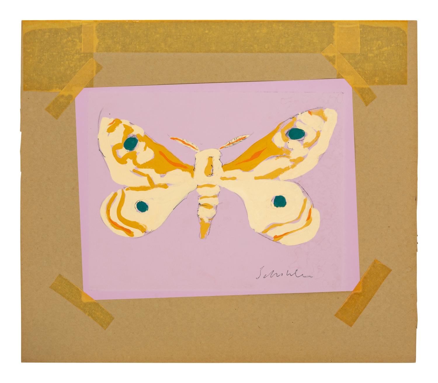 Tan Butterfly on Purple