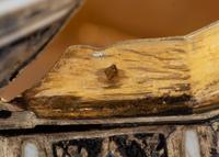 A French Engine-Turned Enamel and Silver-Gilt Box