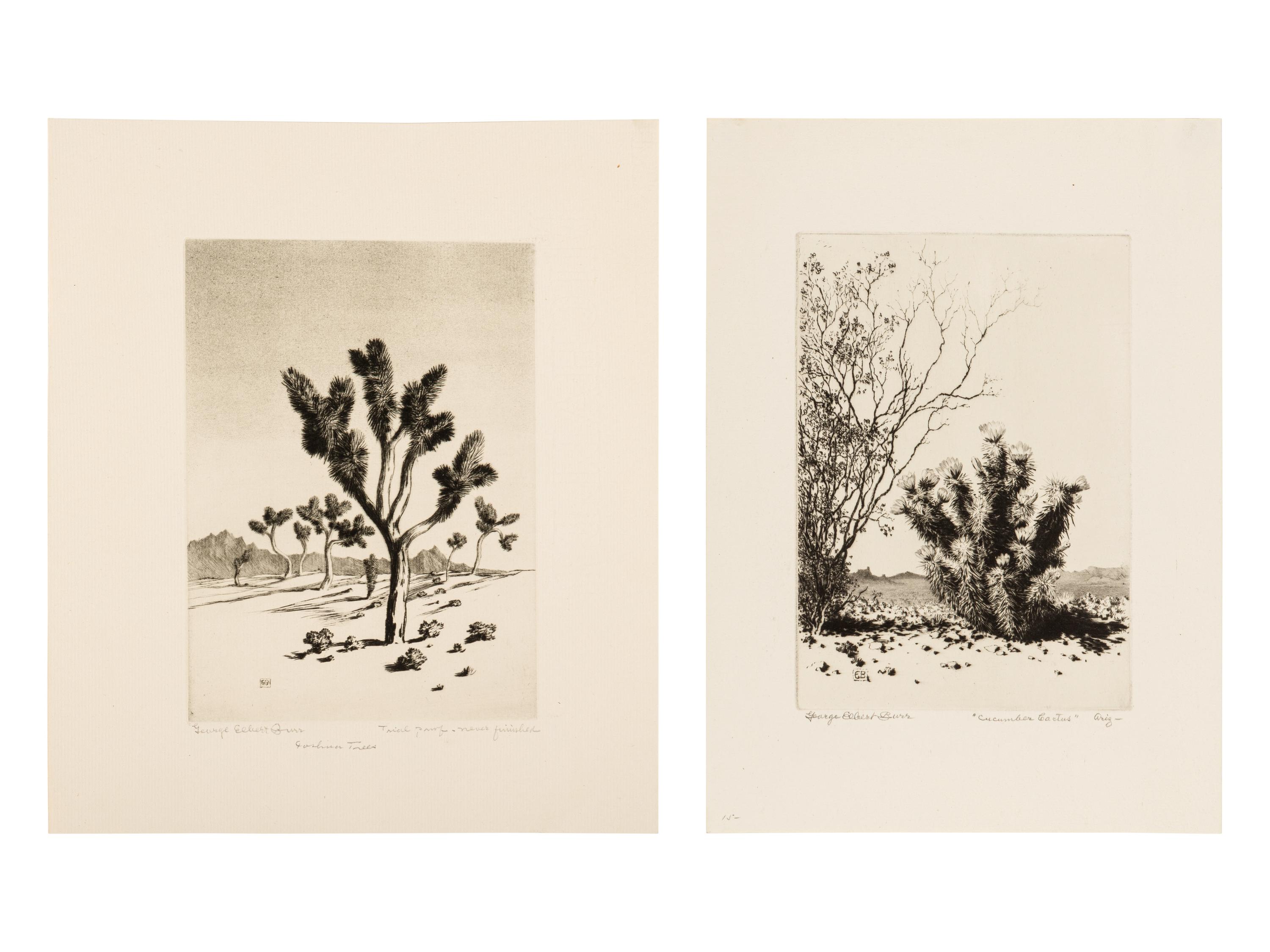 Two Works: Cucumber Cactus and Joshua Trees