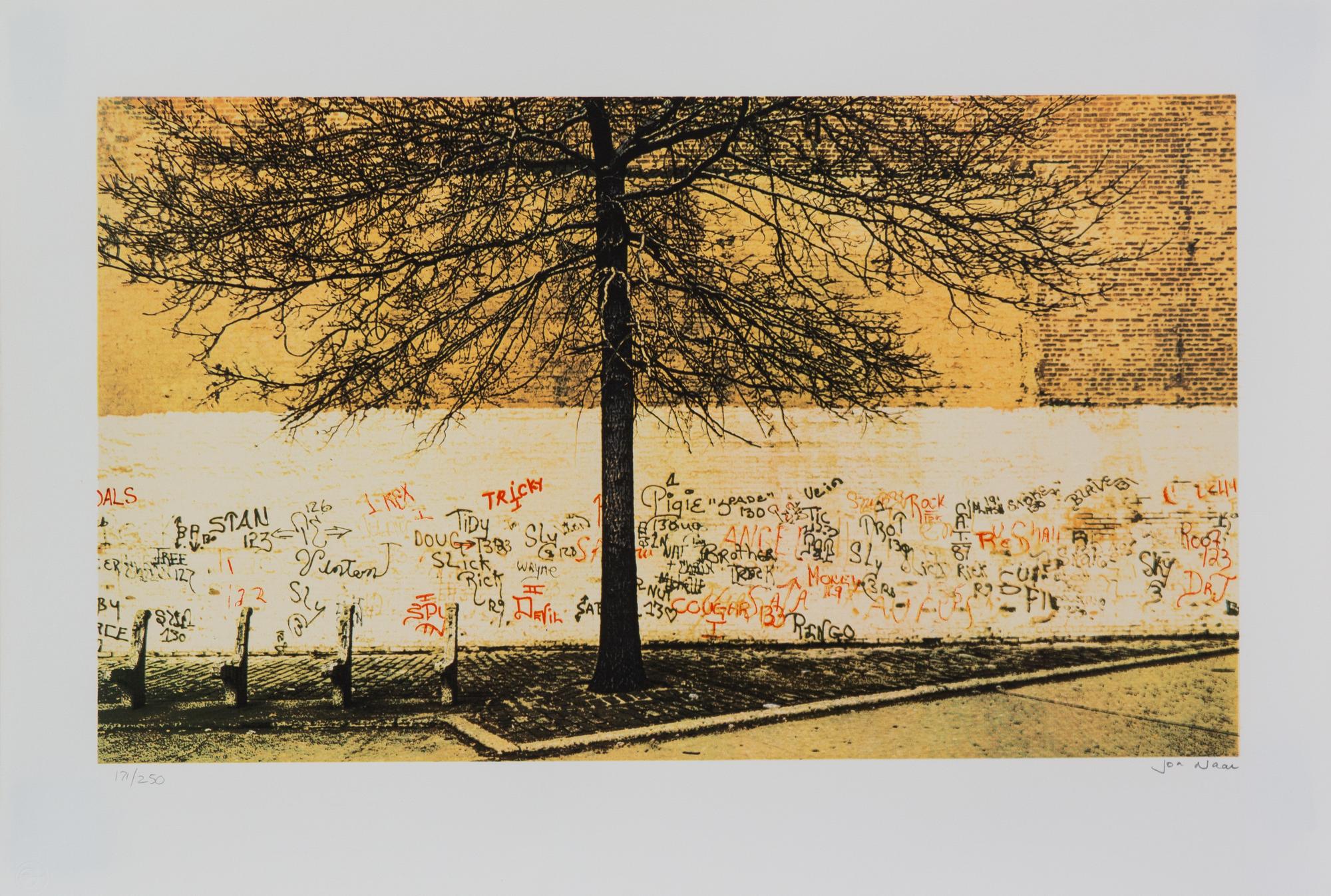 Jon Naar, (American, 20th Century), Two Works; Untitled and Tree of Life
