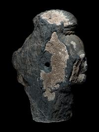 A Gandhran Sandstone Head of Buddha
