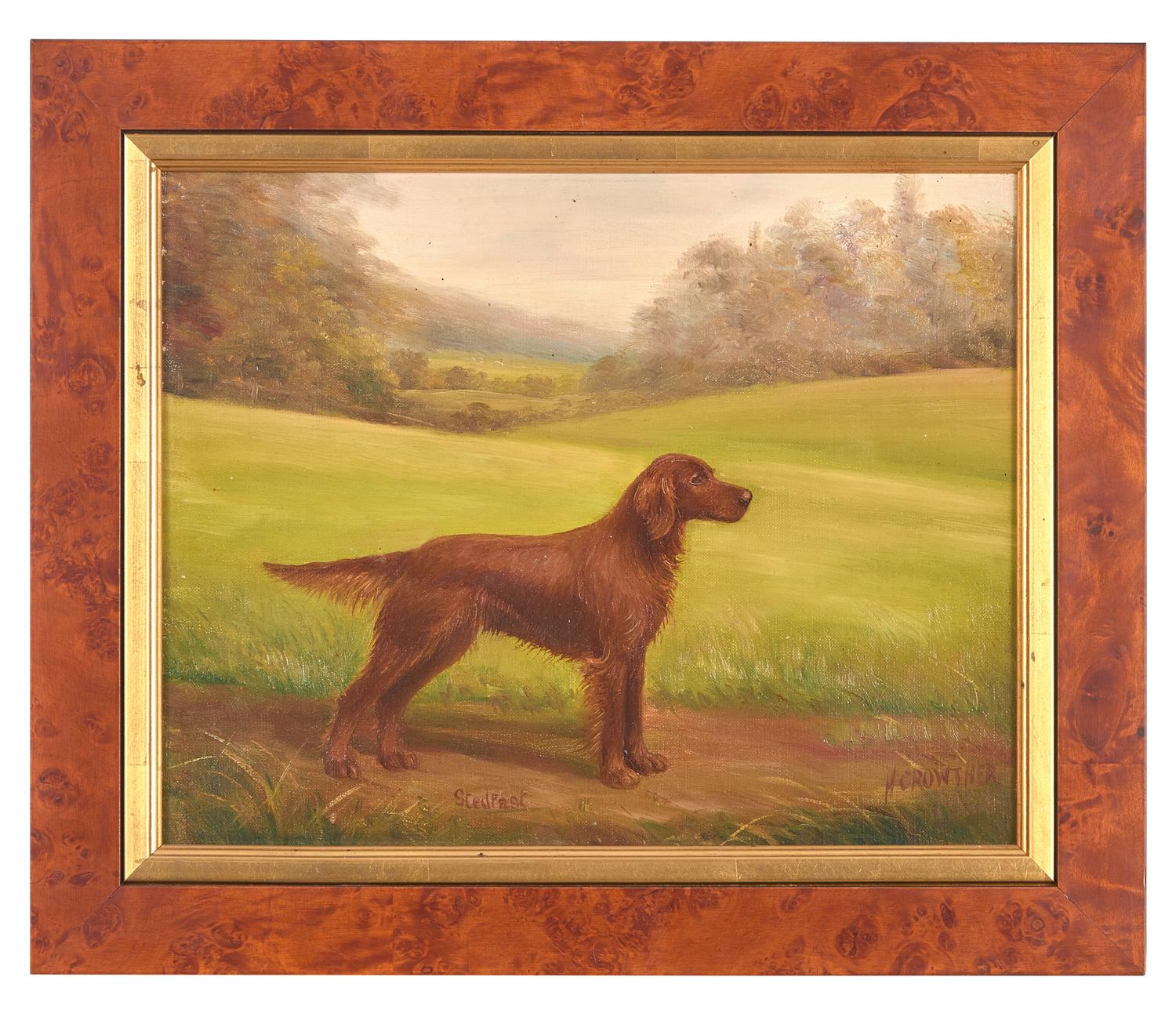 Stedfast, a Red Setter in a Landscape