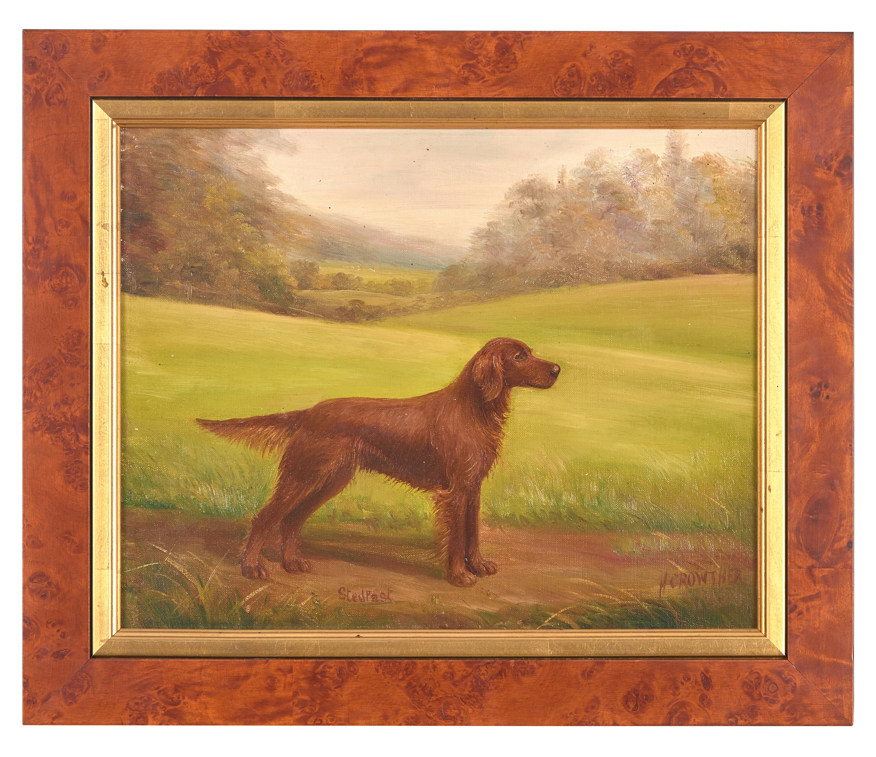Stedfast, a Red Setter in a Landscape