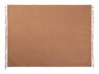 Hermès Cashmere Fringed Wrap