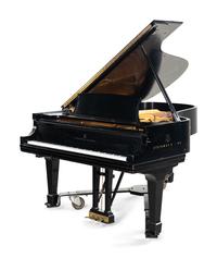 A Steinway and Sons Ebonized Grand Piano
