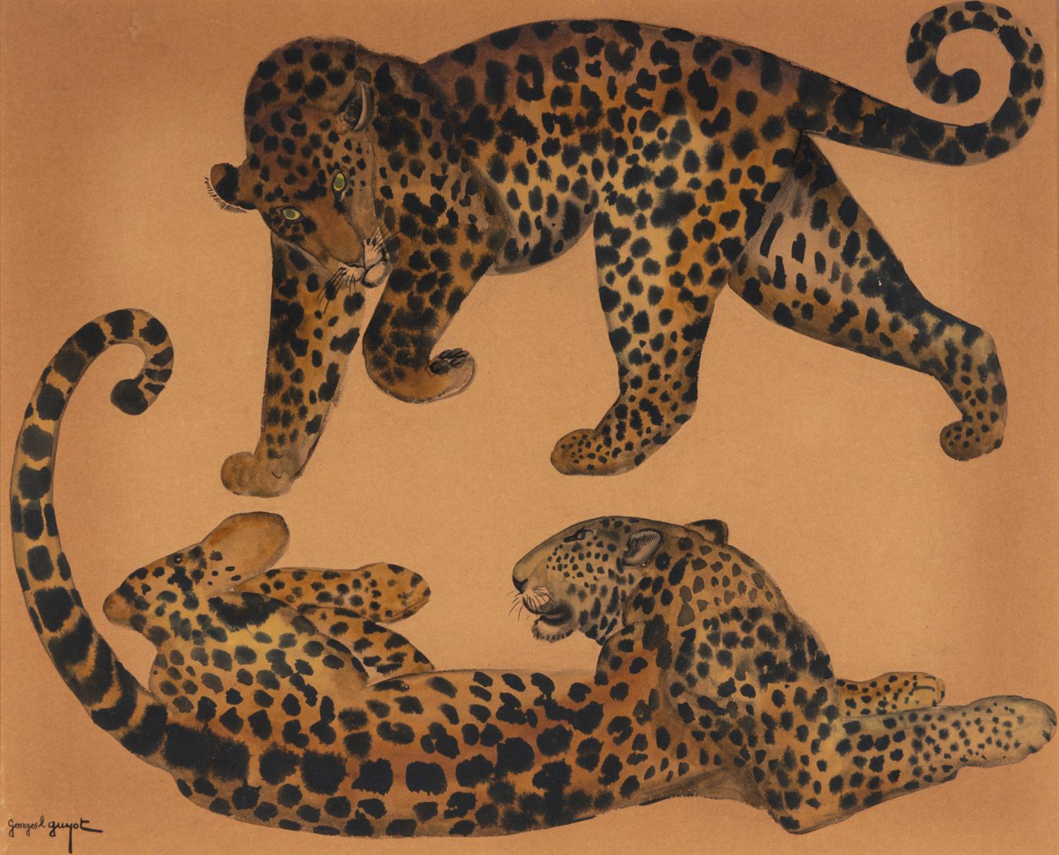 Two Leopards