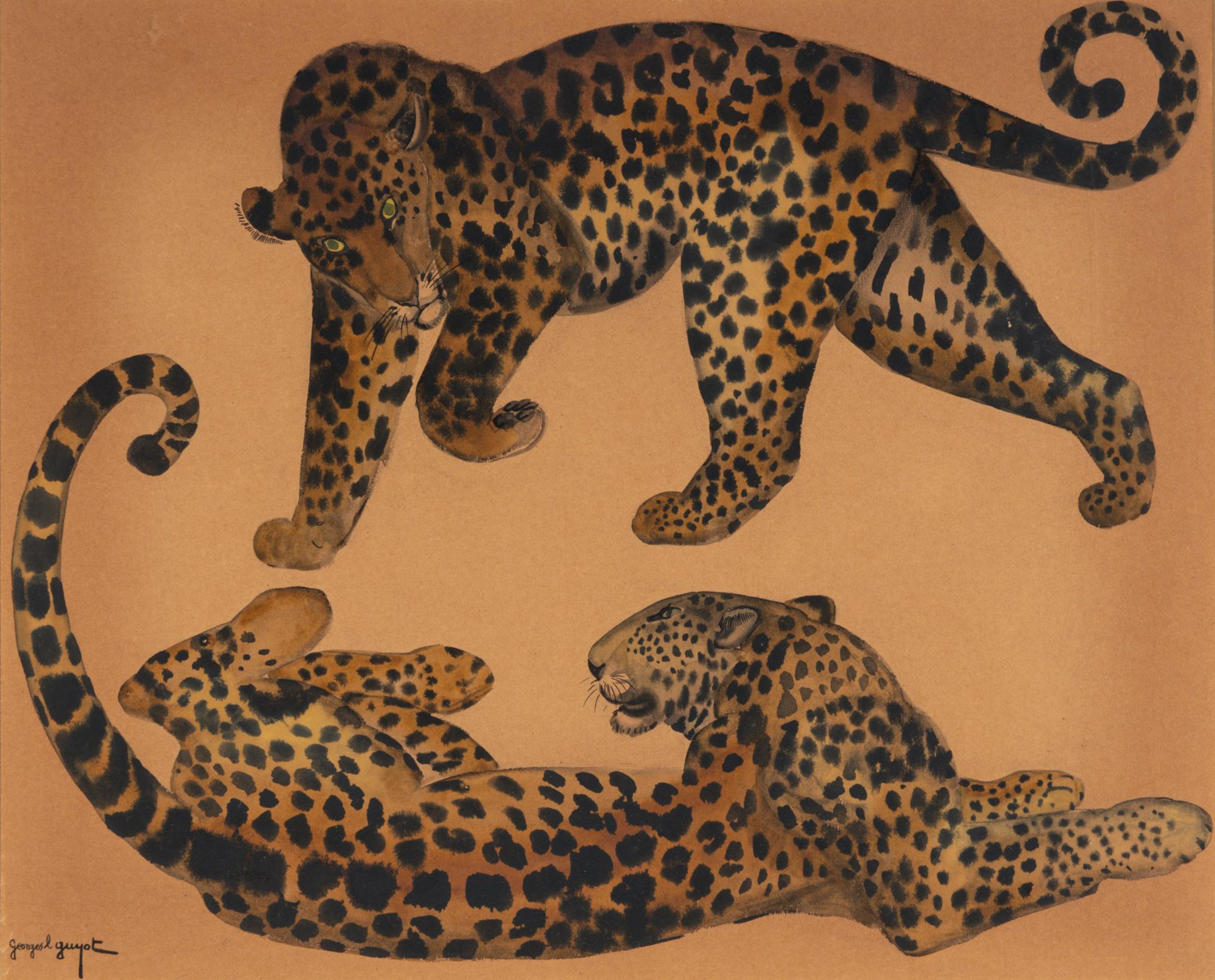 Two Leopards