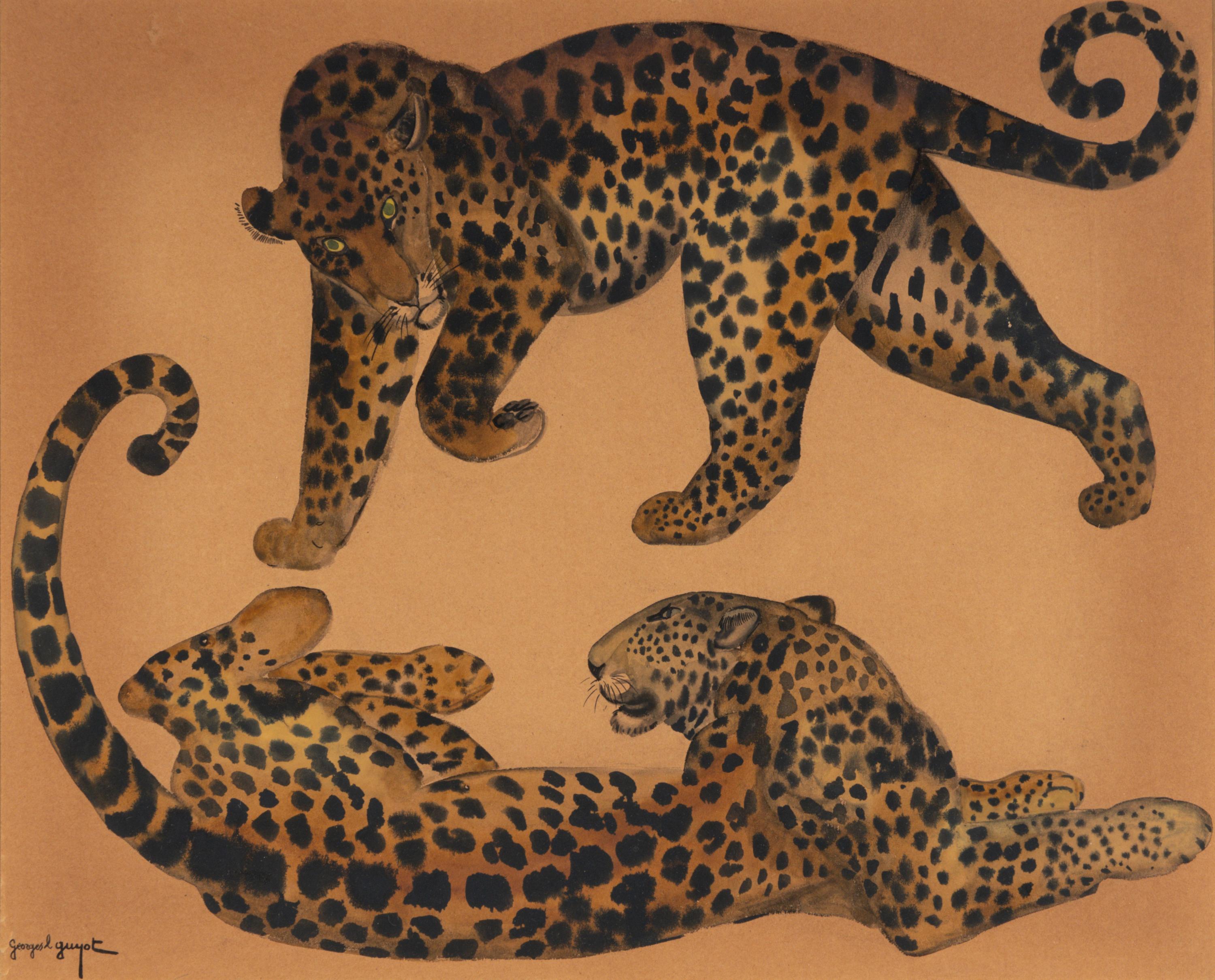 Two Leopards