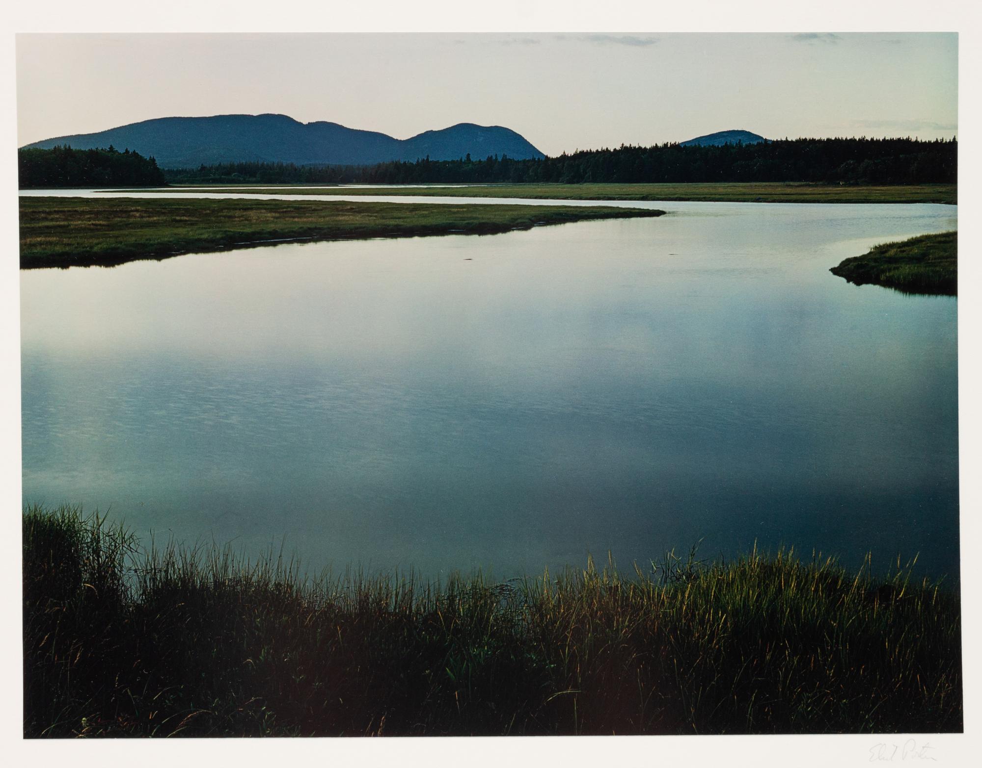 In Wildness (7 of 10 photographs)