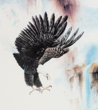 Eagle Lithograph