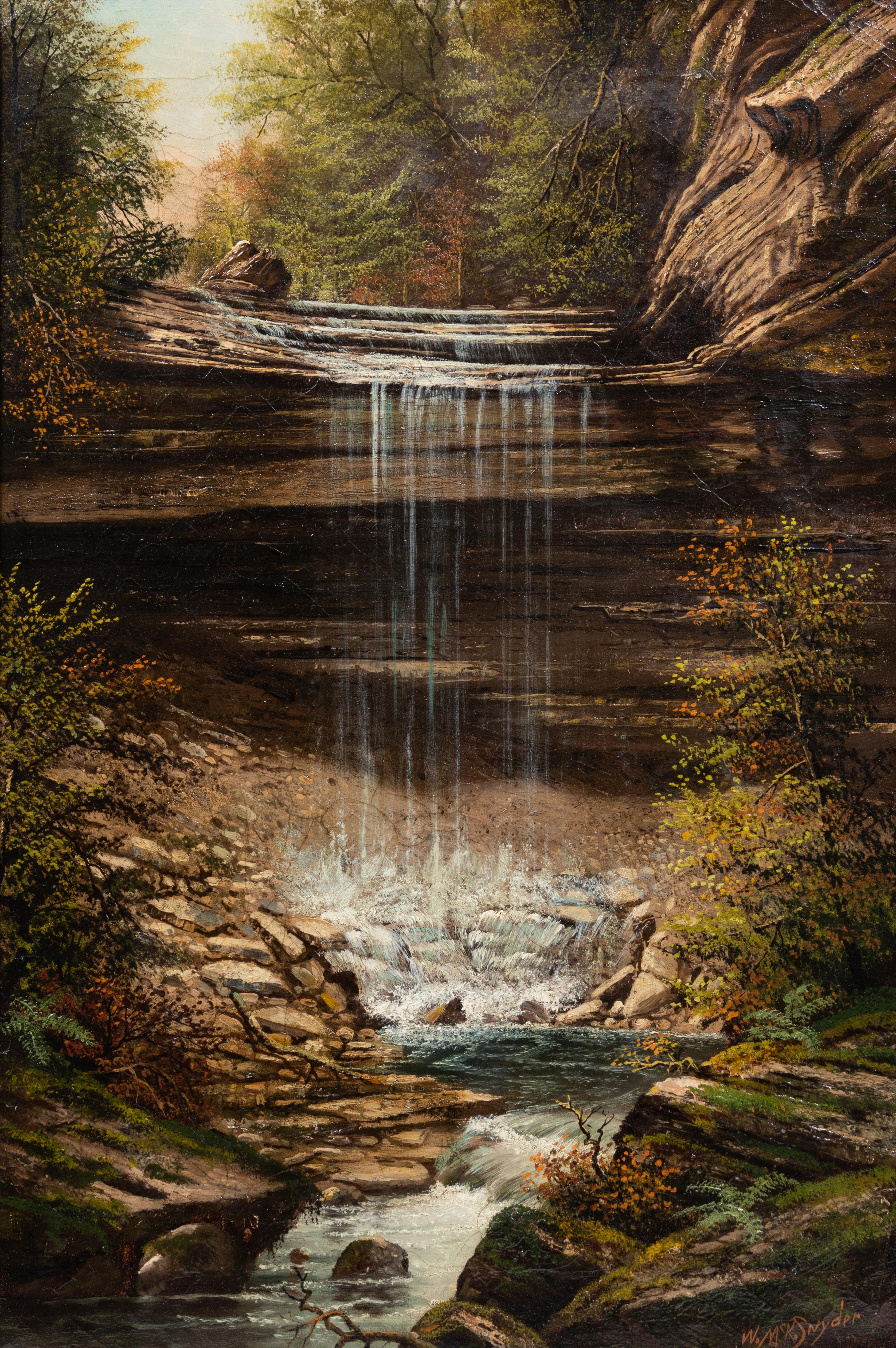 Forest Waterfall