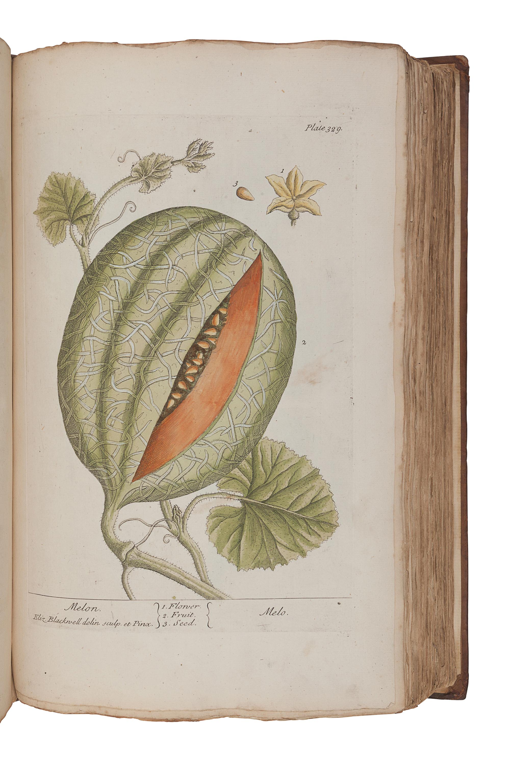 BLACKWELL, Elizabeth (d.1758). A Curious Herbal, containing Five Hundred Cuts of the most useful Plant which are now used in the Practice of Physick. Engraved on folio Copper Plates, after Drawings, taken from the Life… To which is added a short Description of ye Plants and their common Uses in Physick . London: John Nourse, 1739.