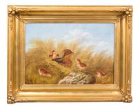 Artist Unknown, (American, Late 19th Century), Grouse Hen and Chicks