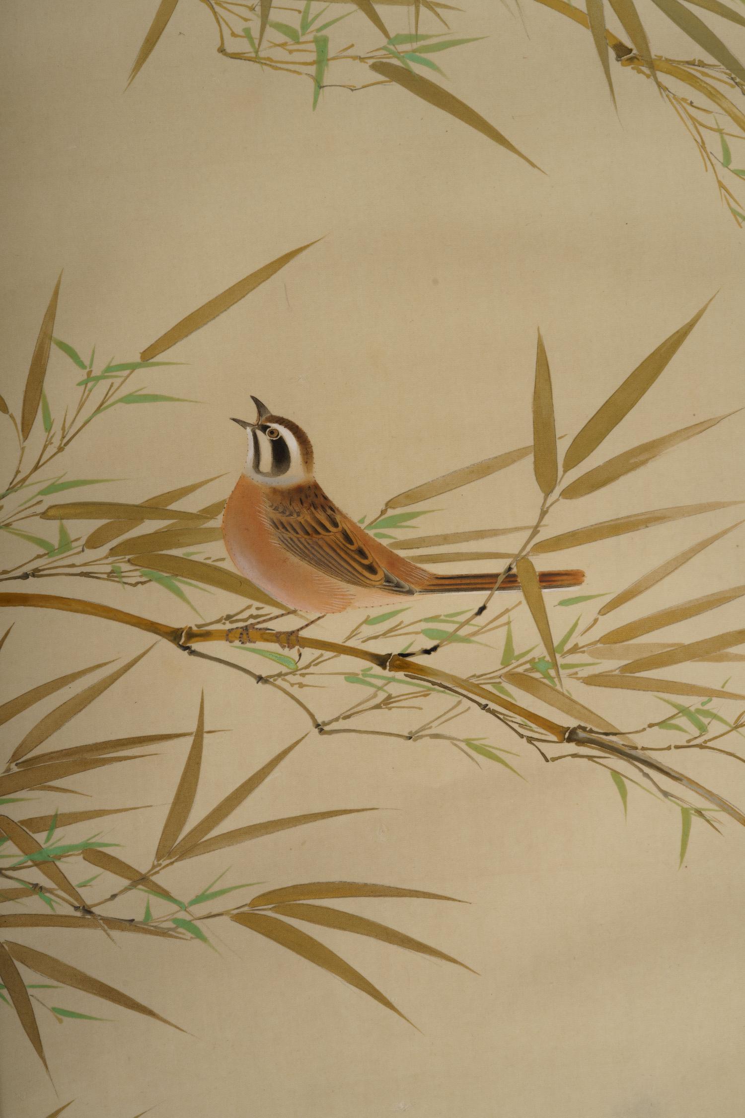 Hosoai Shukoku