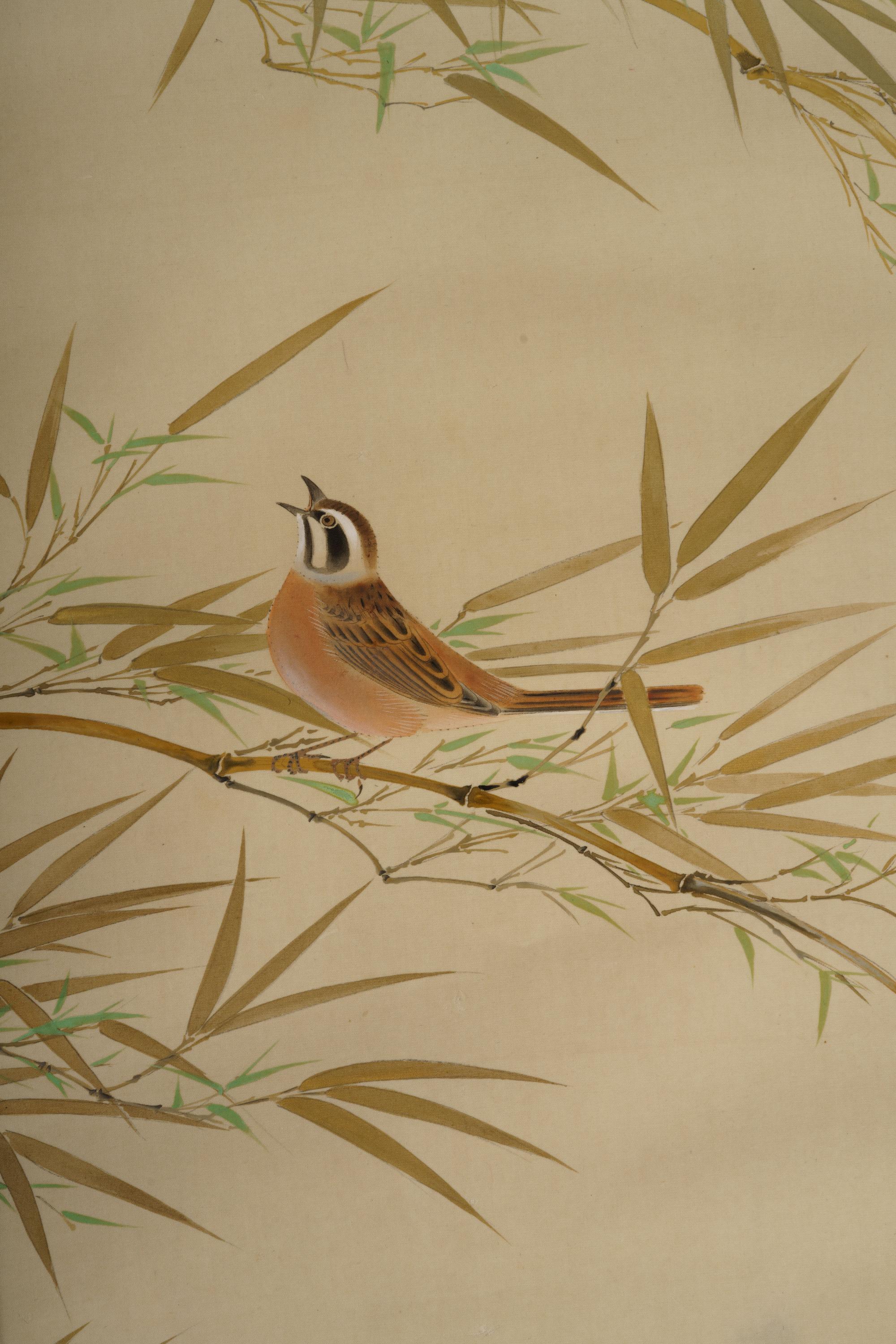 Hosoai Shukoku