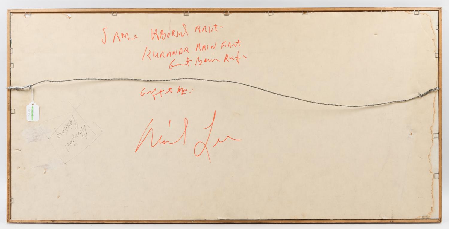 Artist Unknown, (20th century), Kuranda Rain Forest (two Aboriginal paintings)