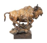 Buffalo Study, edition 6/35