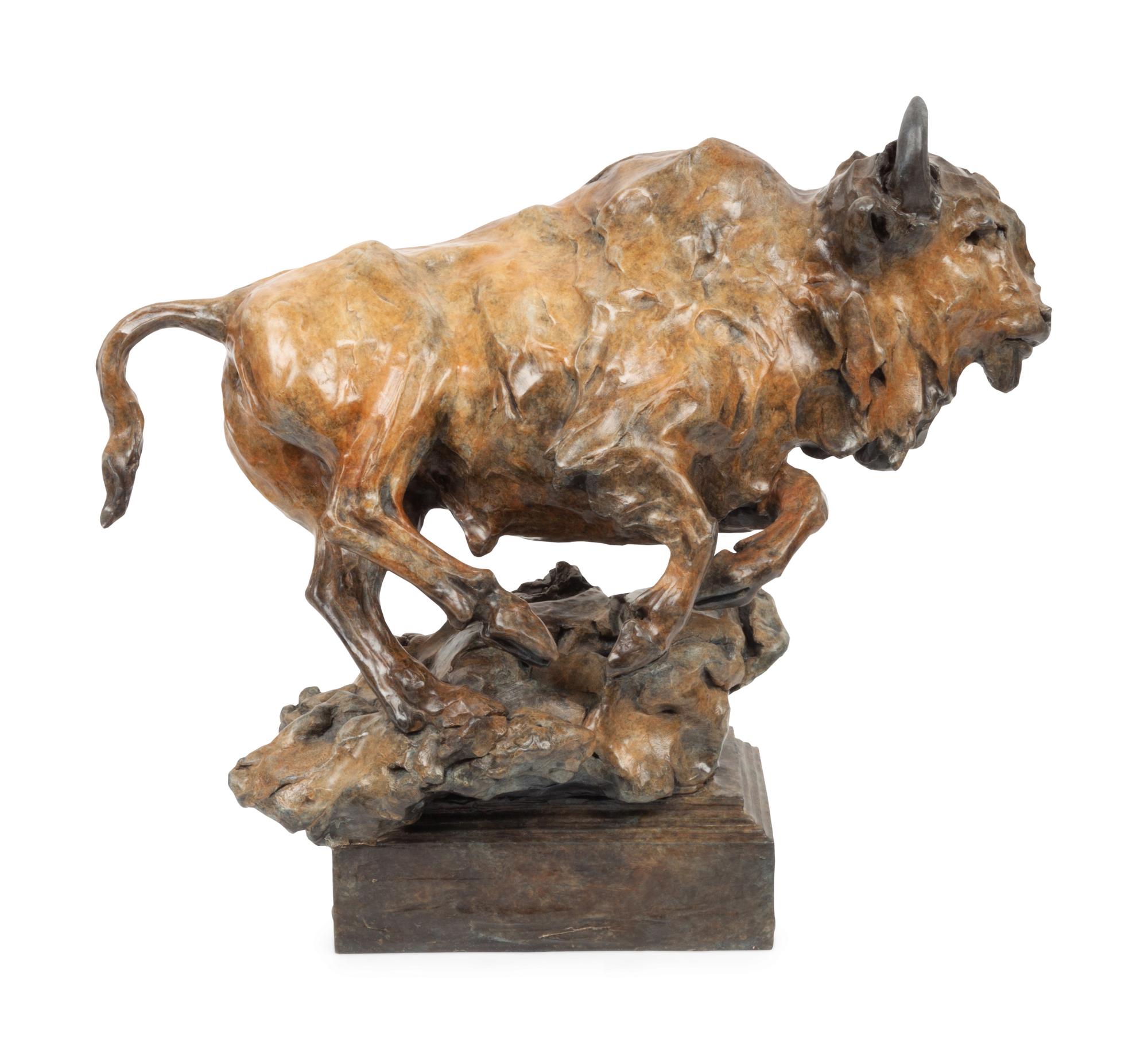 Buffalo Study, edition 6/35