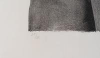 Fur Coat, Front and Fur Coat, Back