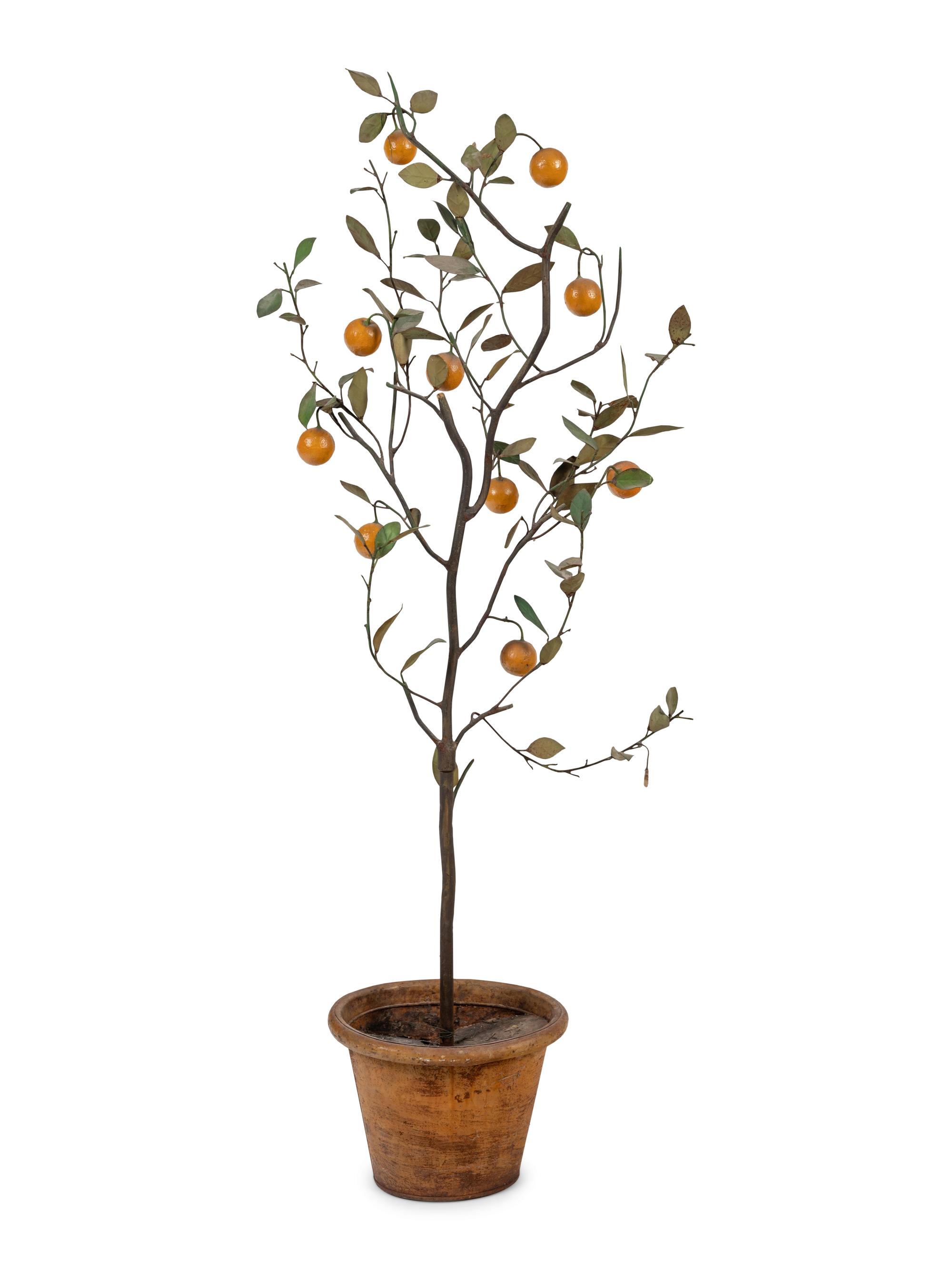 A Tôle Lemon Tree