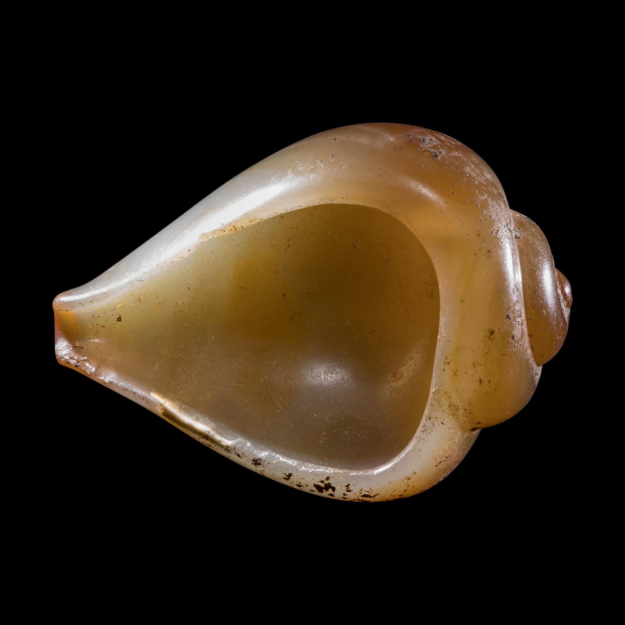 A Phoenician Agate or Carnelian Seashell