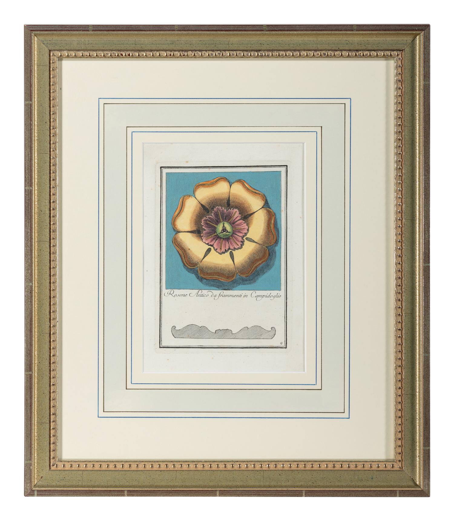 Rosone Nell' Arco Di Settimio Severo