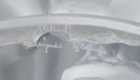 A Lalique Bacchantes Vase