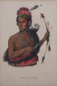 A Set of Six Color Lithographs 9 x 6 inches. — After McKenney & Hall's