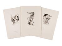 MOSER, Barry. 3 original pen & ink with wash and pencil drawings for Eight Wood Engravings on a Theme of Pan. [1980]. Each ca 285 x 195 mm. On watercolor paper. Each signed and captioned in pencil.