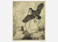 [Prints] Benson, Frank W.: Woodcock
