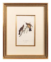 The Birds of America, Royal Octavo Edition, Bowen Edition