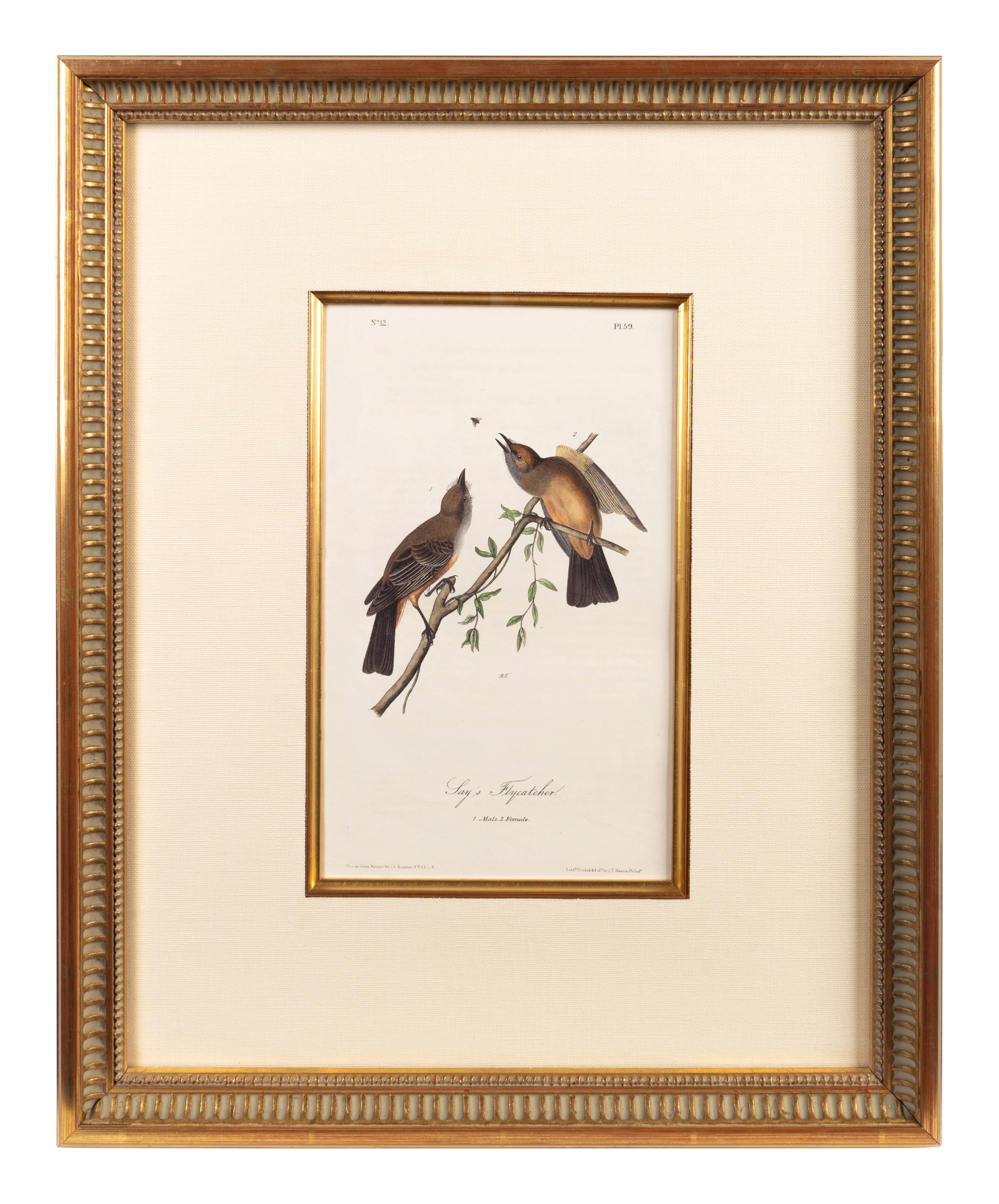The Birds of America, Royal Octavo Edition, Bowen Edition