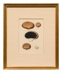 Five German Hand-Colored Engravings of Various Fungi (19th Century)