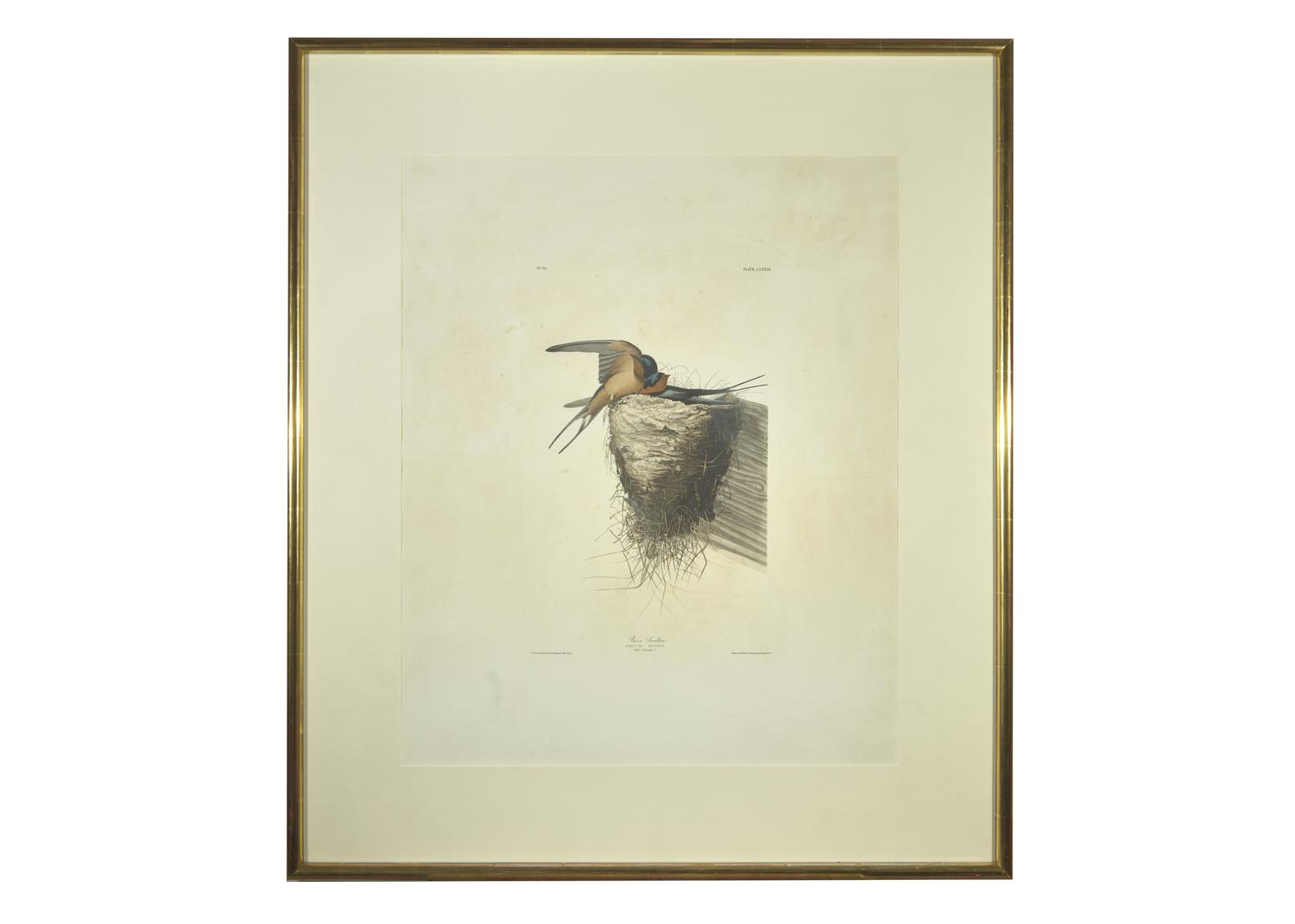 [Prints] J(ohn). J(ames). Audubon. Barn Swallow