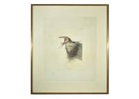 [Prints] J(ohn). J(ames). Audubon. Barn Swallow