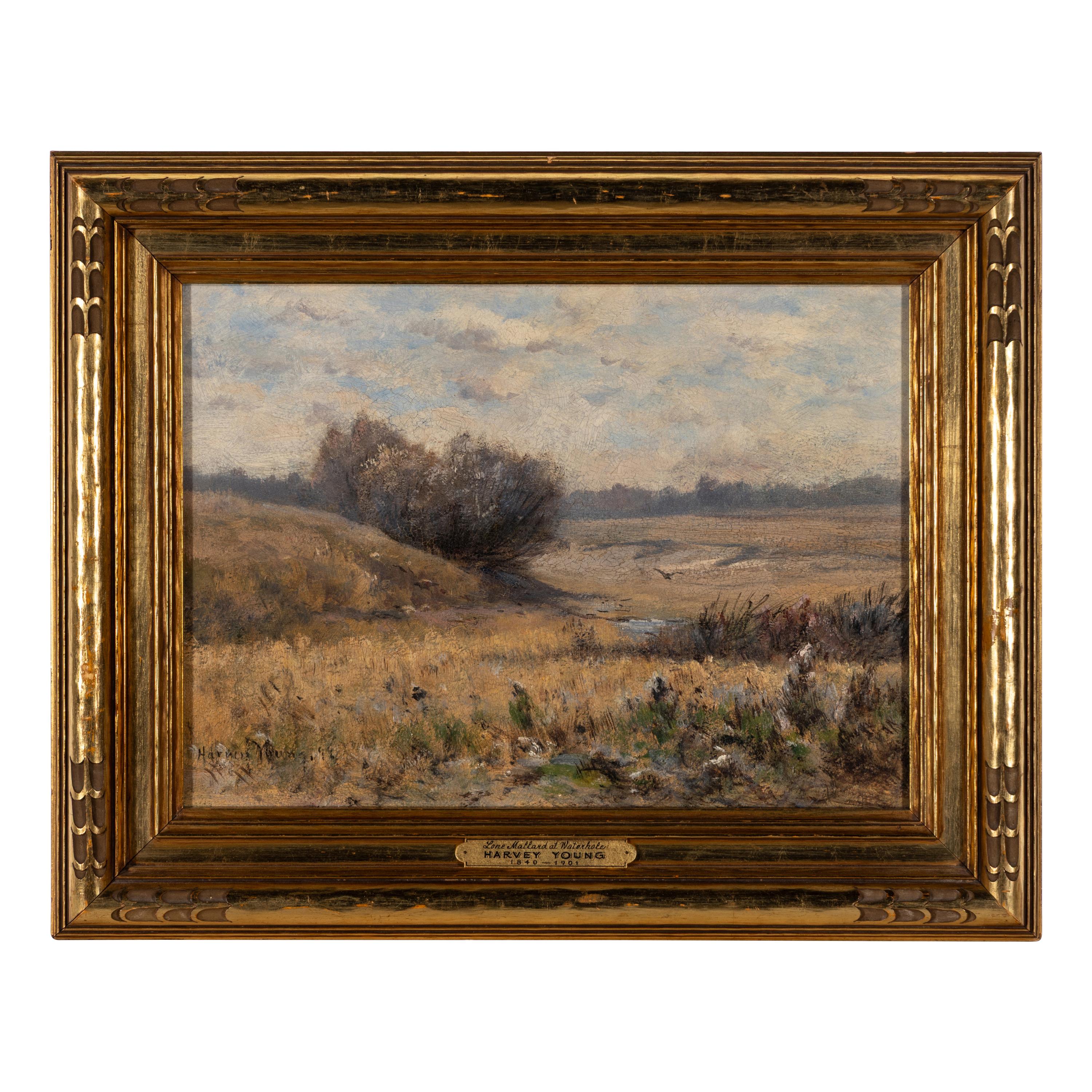 Harvey Otis Young (American, 1840-1901) — Lone Mallard At Waterhole