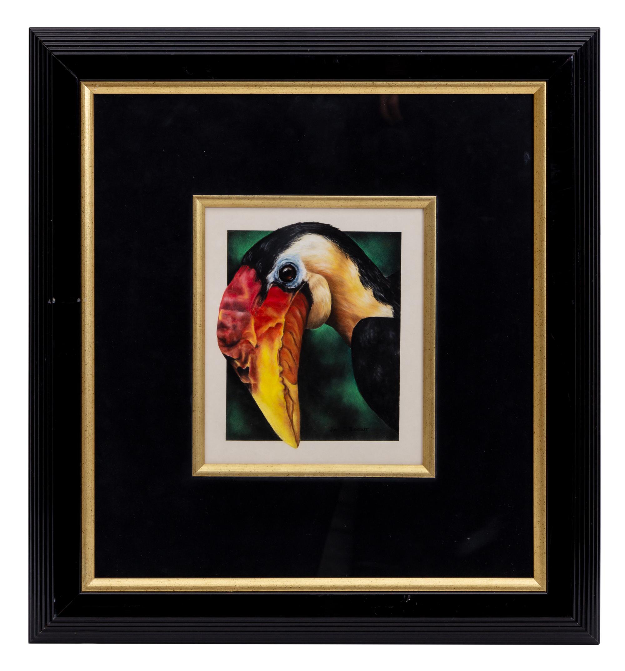 Hornbill , 1996