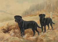 Field Trial Champion Labrador Retrievers and Bring Him Up Boy! (two works)