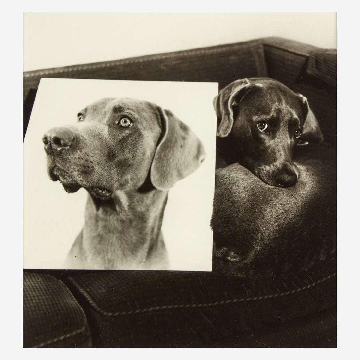 William Wegman (American, b. 1943) Double Portrait (plate VII from Man Ray: A Portfolio of 10 Photographs)