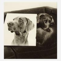 William Wegman (American, b. 1943) Double Portrait (plate VII from Man Ray: A Portfolio of 10 Photographs)