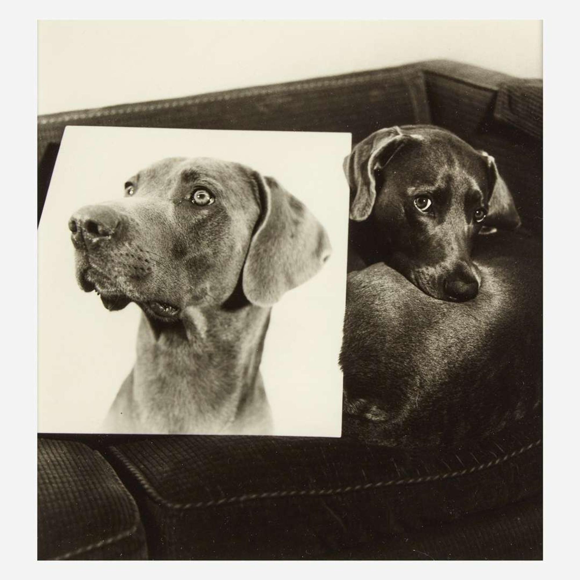 William Wegman (American, b. 1943) Double Portrait (plate VII from Man Ray: A Portfolio of 10 Photographs)